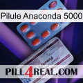 Anaconda 5000 Pill 36
